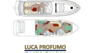 Riva 59 Mercurius pianta