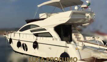 Rodman Muse 50