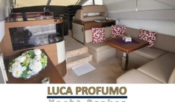 Rodman Muse 50