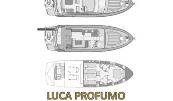 Rodman Muse 50