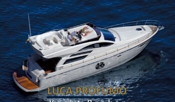 Rodman Muse 50