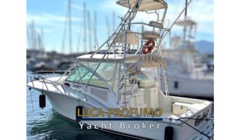 Carolina Classic 32 Express