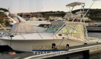 Carolina Classic 32 Express