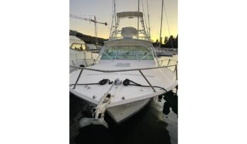 Carolina Classic 32 Express