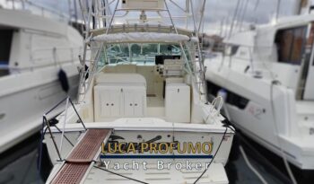 Carolina Classic 32 Express