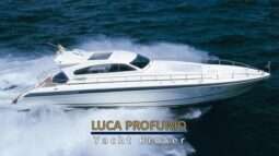 Leopard 23 Sport HT