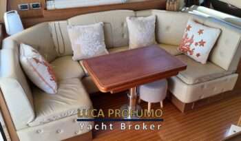 Mochi 51 Dolphin