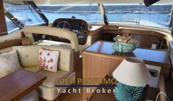 Mochi 51 Dolphin