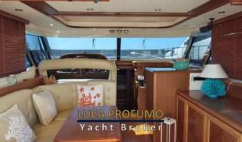 Mochi 51 Dolphin