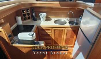 Mochi 51 Dolphin